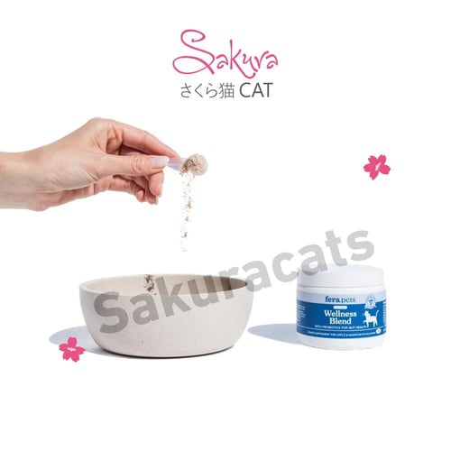 مكمل شامل لدعم الصحة