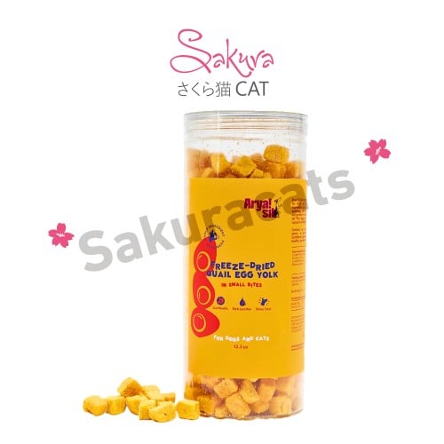 صفار بيض سمان مجفف بالتجميد