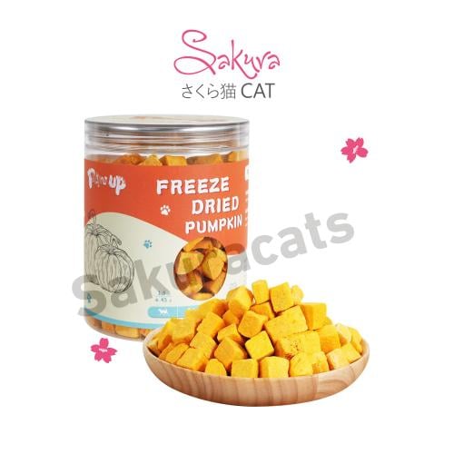 مكعبات اليقيطن مجففة بالتجميد