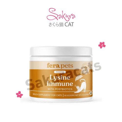 لايسن Lysine داعم للمناعة