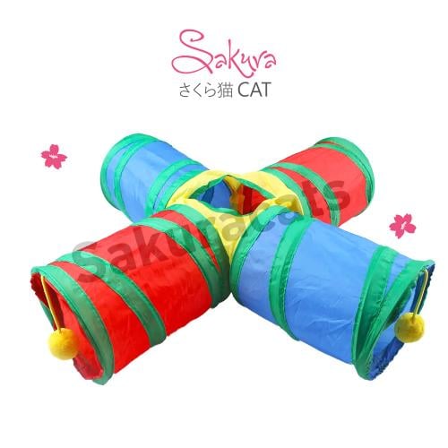 نفق متعدد المداخل