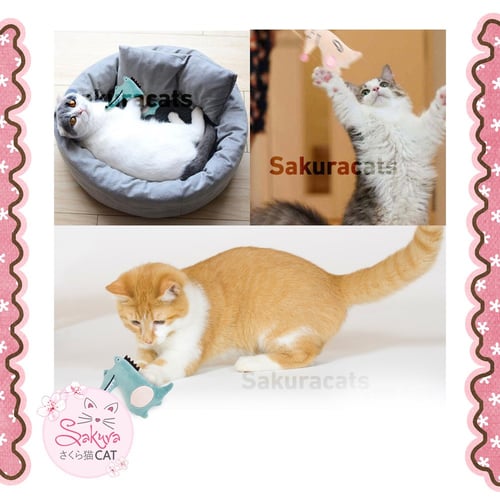 لعبة تفاعلية مزوده بالكاتنيب