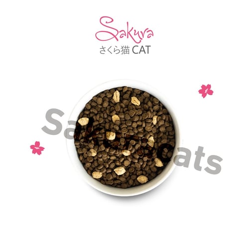 أكل جاف و مجفف بالتجميد سمك أبيض و سالمون و السمك...