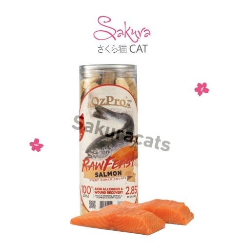 سالمون طبيعي مجفف بالتجميد