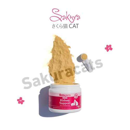 مكمل داعم الكلى