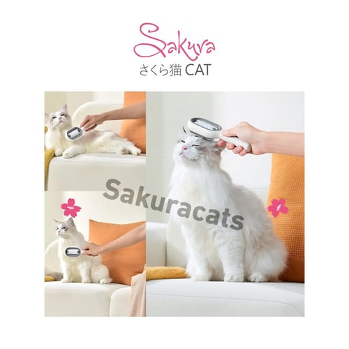 فرشاة مزدوجة