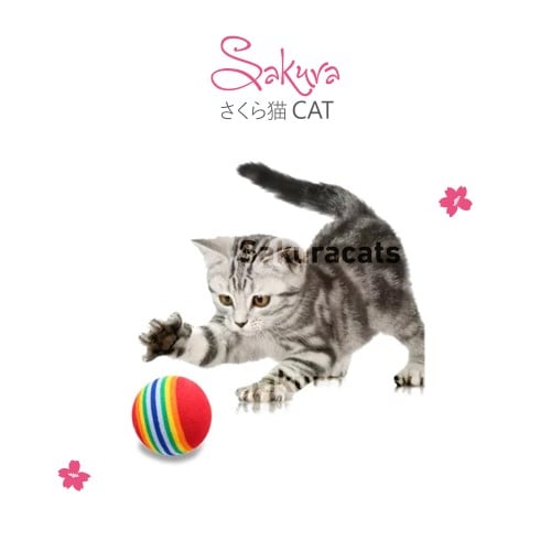 كره تفاعلية اسفنجيه