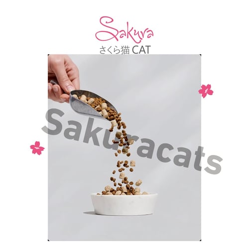 أكل جاف و مجفف بالتجميد ديك رومي و دجاج