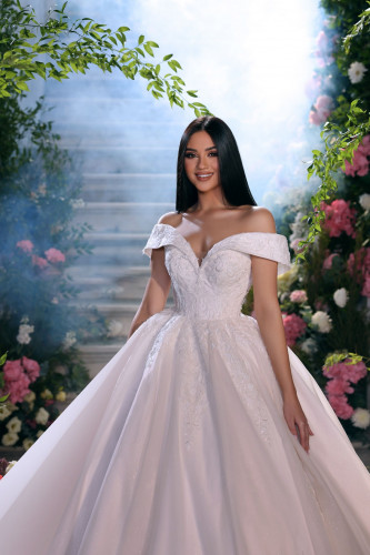 فستان زفاف NB 2306