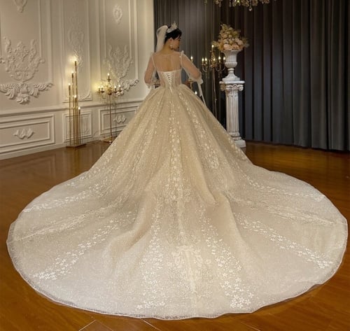 فستان فخم (1048) موديل 2022