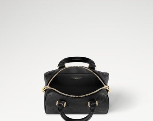 لوي فيتون سبيدي 20