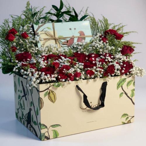 سوسبيشل انوش