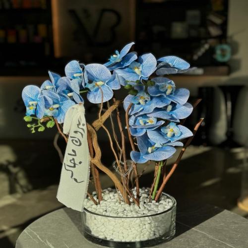 مبروك المولود