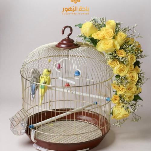 قفص عصافير الحب Lovebirds