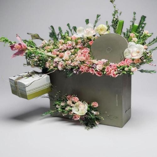 سوسبيشل سلسال MOH