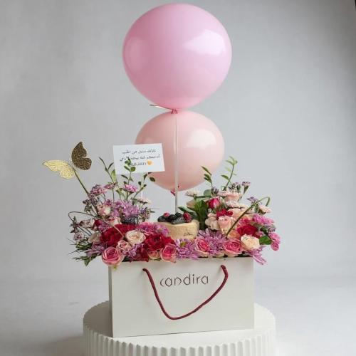 تنسيق كيس كيك كانديرا