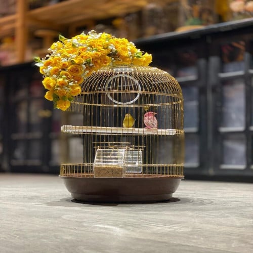 قفص عصافير الحب Lovebirds