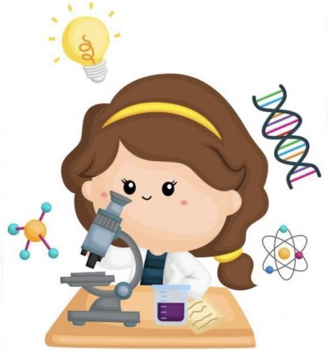 مطوية دورة حياة النباتات علوم صف ثالث