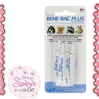 بروبايوتك لجميع أعمار القطط لصحة الجهاز الهضمي