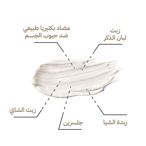بكج توين الشامل