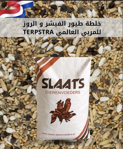 Peter Terpstra خلطه الفيشر والروز للمربي العالمي بيتر SLAATS