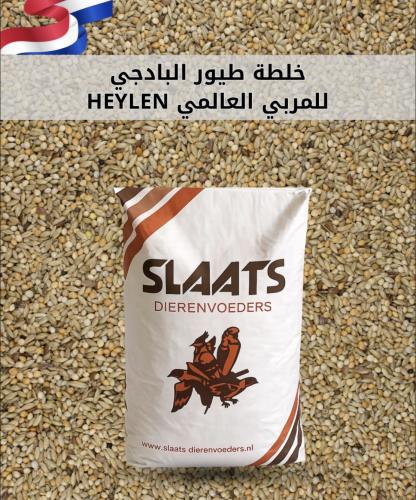 Budgie heylen خلطه طيور البادجي للمربي العالمي هيلن SLAATS