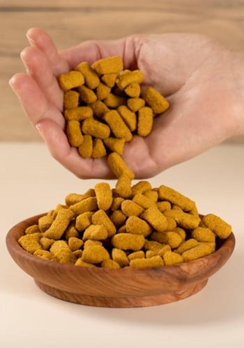 سيتاكوس اوميجا غذاء الببغاء PSITTACUS Omega