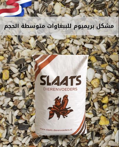 مشكل بريميوم للبغباوات متوسطه الحجم SLAATS