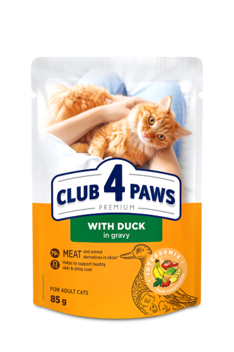 طعام رطب للقطط بط مع المرق club 4 paws