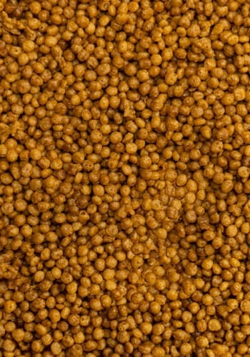 سيتاكوس مايكرو سفير اكل الطيور المتوسطة وصغارها -...