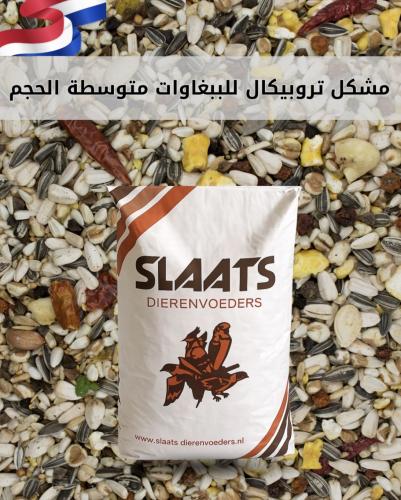 مشكل تروبيكال للببغاوات متوسطة الحجم SLAATS