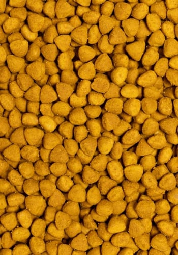 سيتاكوس اكل الطيور للببغاوات المنتجة 12كيلو - High...