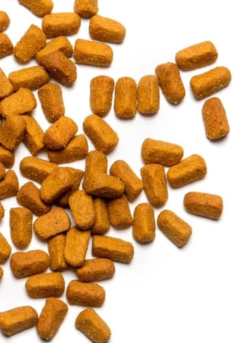 سيتاكوس اوميجا غذاء الببغاء PSITTACUS Omega