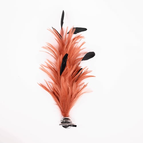 كلبس الريش طويل بألوان مختلفة