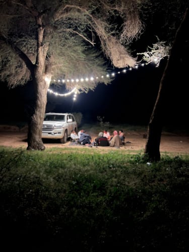 عقد إنارة 10 متر من شركة 360