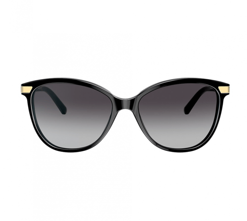 نظارة بربري