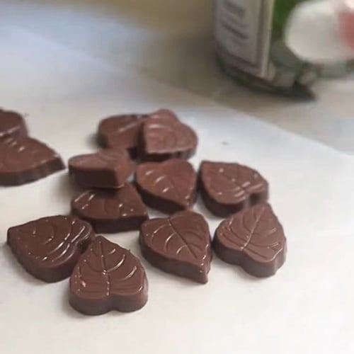 قالب شوكلاته اكليريك | ورقة – 21 تجًويف