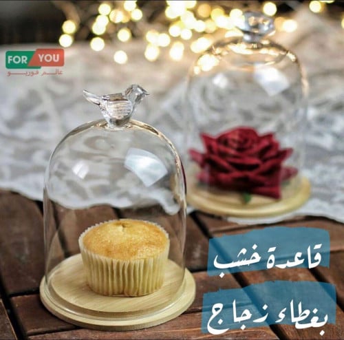 قاعدة تقديم ميني خشب بغطاء زجاجي مسكة طائر