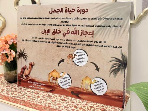 لوحة دورة حياة الجمل