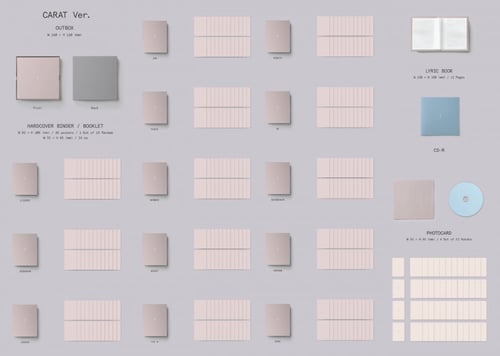 Seventeen 10th Mini Album FML