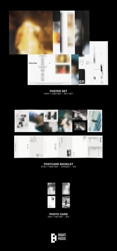 V’s Layover Vinyl LP