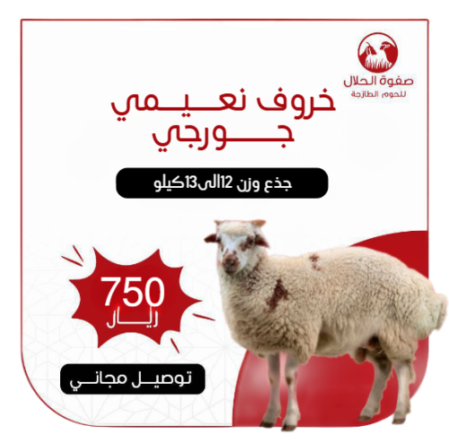 خروف نعيمي جورجي جذع ( 12 -13 ك)
