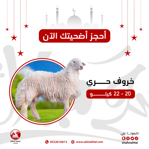 أضحية خروف حري جذع
