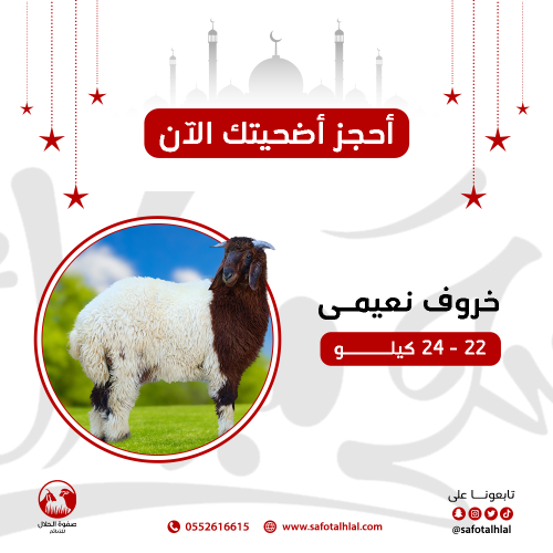 أضحية خروف نعيمي جذع