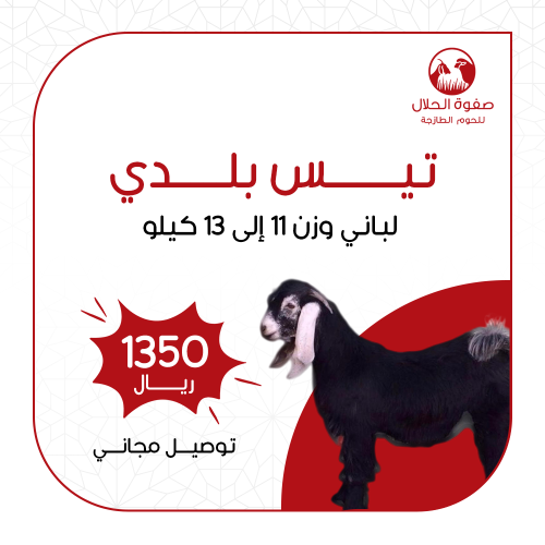ذبيحة تيس لباني فاخر (11- 13ك) + كيلو مفروم هدية
