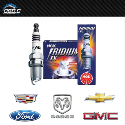 بواجي رياضية LTR6