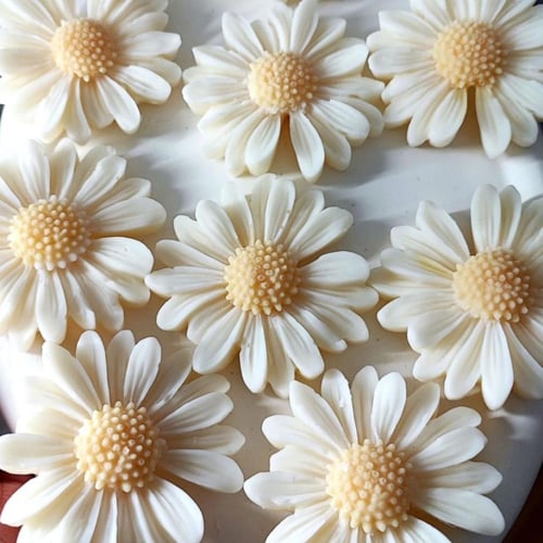 بكج توزيعات 6 - 12 - 24 شمعة زهرة الأقحوان – هدايا...