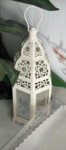 فانوس اللون