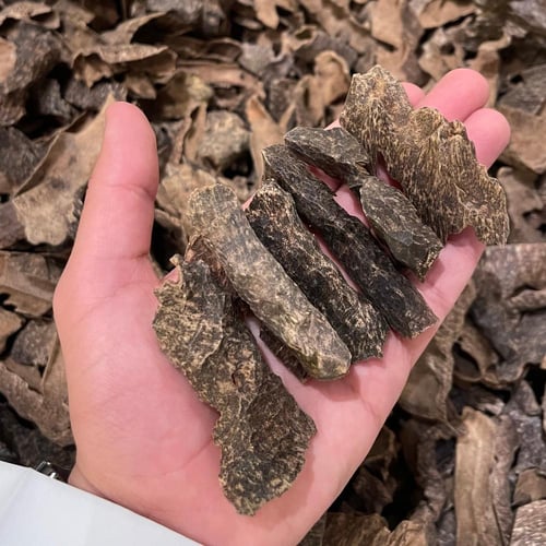 الزوايا الناهي .