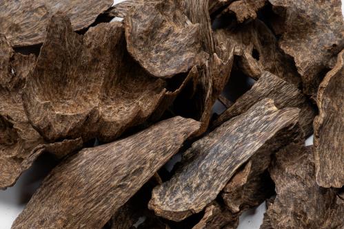 سيلاني النخبة